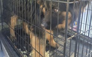 1.02.2026 r. Kuronia J. S