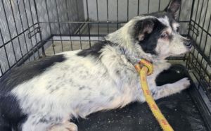 1.02.2026 r. Promyka S