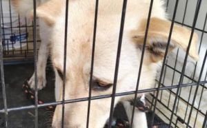 1.04.2026 r. 1905 Roku S