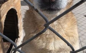 10.04.2026 r. Relaksowa S