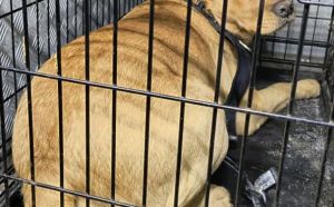 13.01.2026 r. Fundowicza S