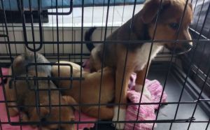 13.04.2026 r. Witosa S