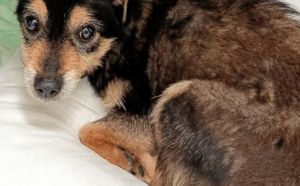 14.12.2025 r. Przytycka S