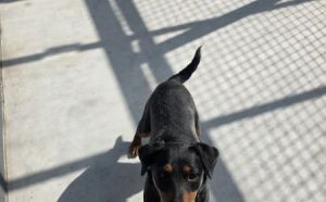 15.02.2026 - Przemyslowa