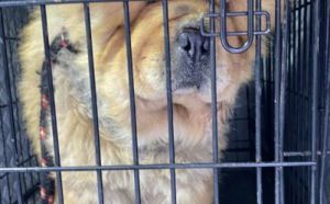 17.02.2026 r. Kleeberga S