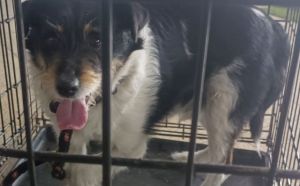 17.03.2026 r. Grota Roweckiego S