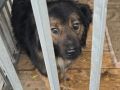 17.05.2025 r. Ofiar Firleja S