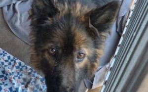 18.03.2026 r. Witosa S