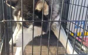 19.11.2025 r. Potkanowska S