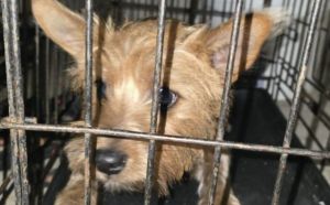 2.04.2026 r. Kielecka S