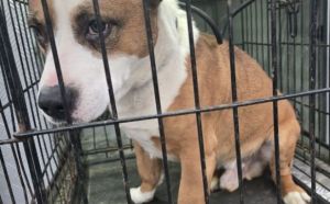 22.12.2025 r. Gorna S