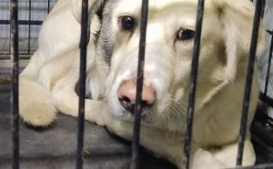 22.12.2025 r. Grora Roweckiego S