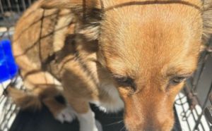 23.04.2026 r. Kalinowa S