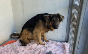 25.02.2026- Traugutta