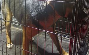 25.03.2026 r. Swietojanska S