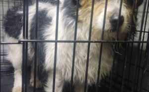 25.11.2025 r. Grota Roweckiego S