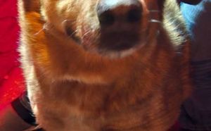 26.12.2025 r. Kopalniana S