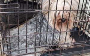 27.03.2026 r. Wysoka S