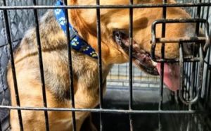 29.12.2025 r. Paderewskiego S