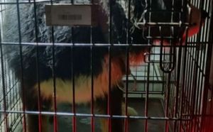 3.01.2026 r. Energetykow S