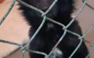 3.01.2026 r. Witosa S