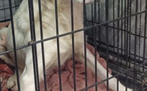 30.10.2025 r. Akademicka S