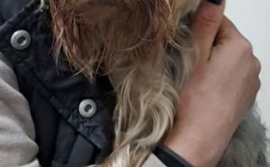 30.11.2025 r. Skorupki S