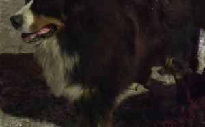 30.12.2025 r. Klwatecka S