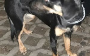 9.12.2025 r. Olsztynska S